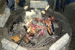 Vom Korn zum Brot