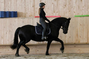 Arabella in der Reithalle