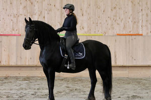 Arabella in der Reithalle4
