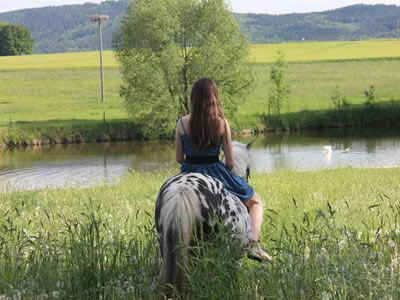 Pferd am Teich