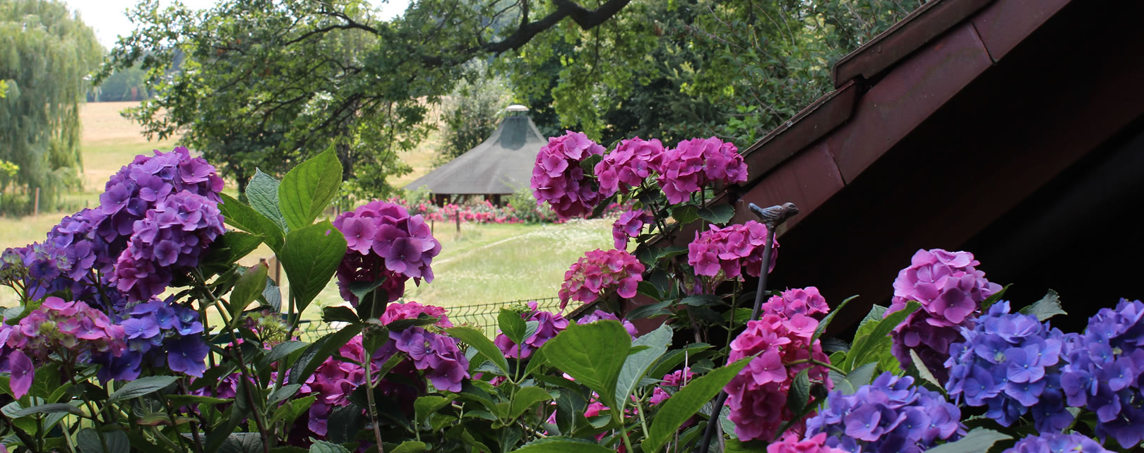 Ferienhaus, Ferienwohnung, Urlaub, Bauernhof, Ferien, Bauernhofurlaub, Gaußig, Bautzen, Bischofswerda