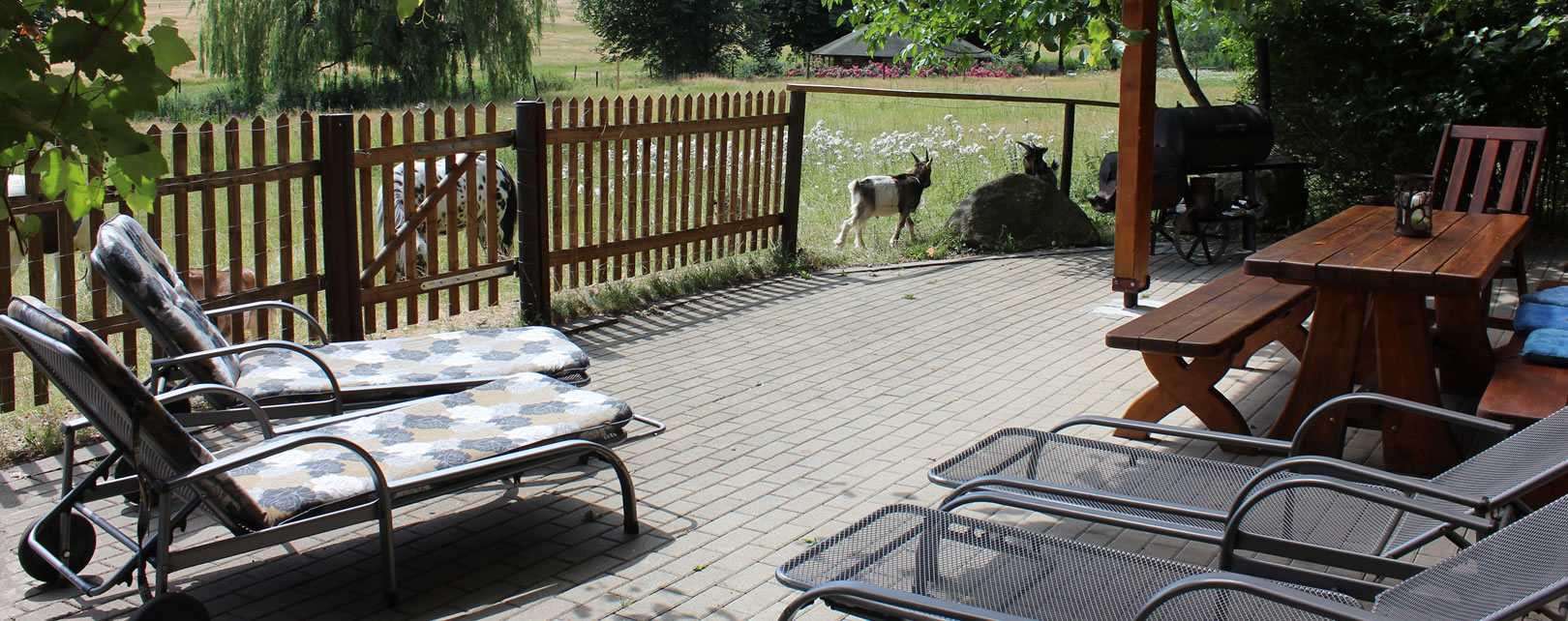 Ferienhaus, Ferienwohnung, Urlaub, Bauernhof, Ferien, Bauernhofurlaub, Gaußig, Bautzen, Bischofswerda